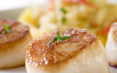 Recette : Coquilles Saint-Jacques