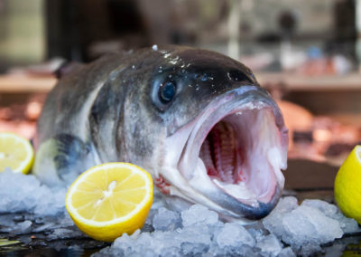 Photo d'un poisson la bouche ouverte